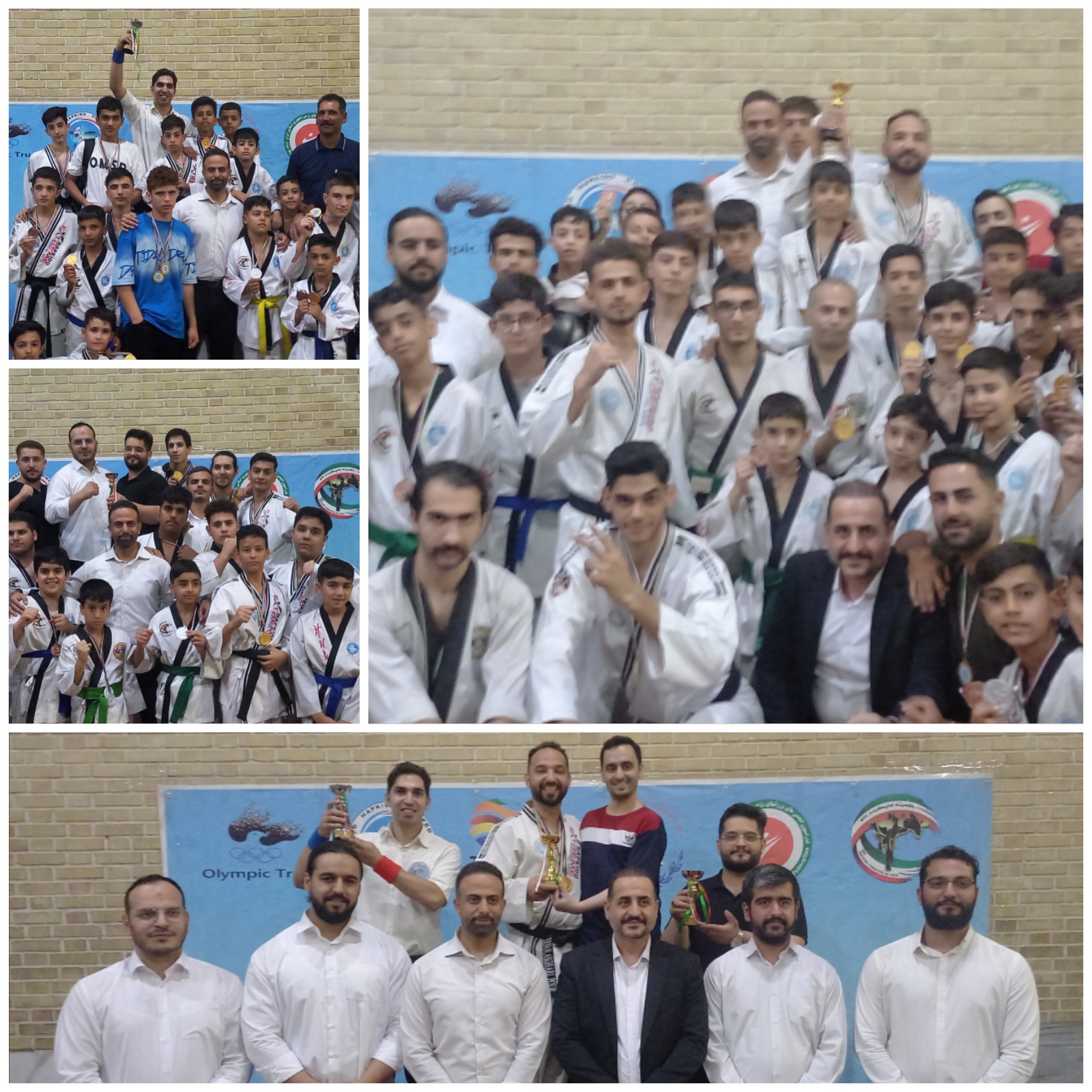 هفتمین مسابقات قهرمانی هاپکیدوWHC آقایان استان سمنان با موفقیت برگزار گردید